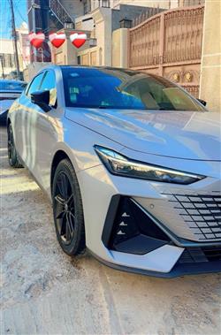 شانجان يوني في